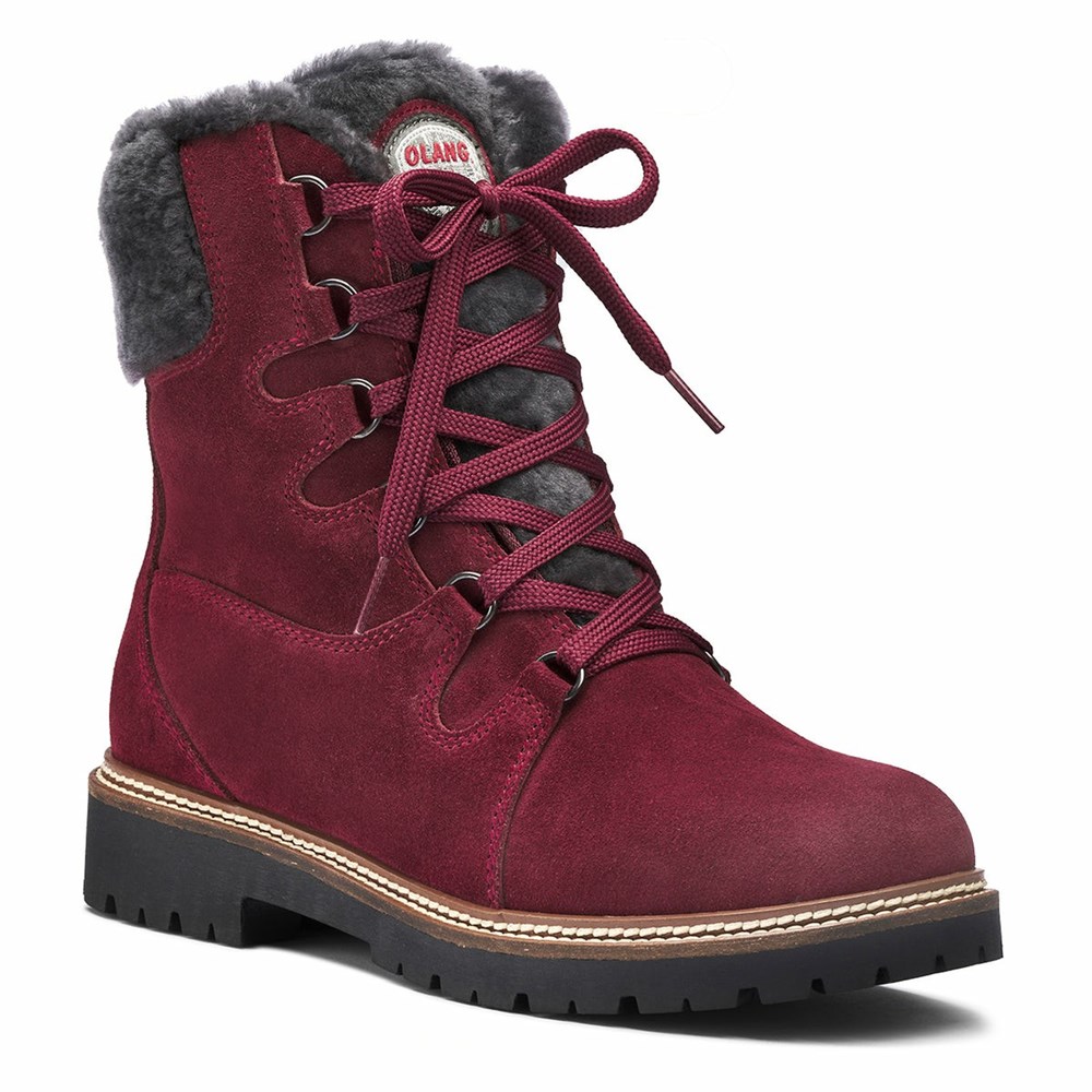 Bottes D\'hiver Olang Meribel BTX Homme Bordeaux | 109JOTBDQ